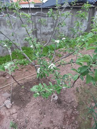 전진욱님의 자유주제 · 자유게시판 작성글 사진