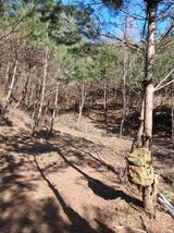 팜모닝 활착 노하우 알려주세요!·참여글 게시글 이미지