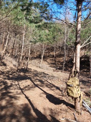 김진복님의 활착 노하우 알려주세요! · 참여글 작성글 사진