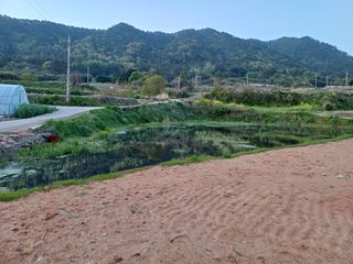 전영일님의 자유주제 · 자유게시판 작성글 사진