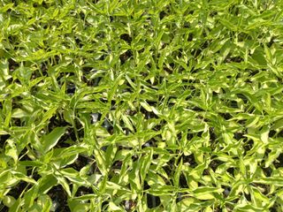 무주김근중님의 자유주제 · 자유게시판 작성글 사진