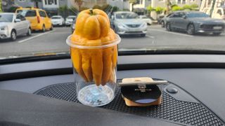 정미리님의 자유주제 · 자유게시판 작성글 사진