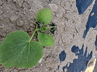 류남열님의 자유주제 · 자유게시판 작성글 사진