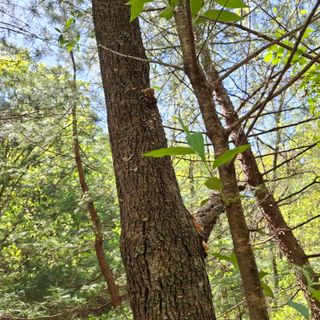 오영도님의 자유주제 · 자유게시판 작성글 사진