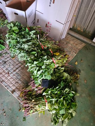 이재관(황토속애)님의 작성글 사진