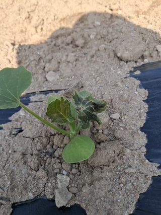 류남열님의 자유주제 · 자유게시판 작성글 사진