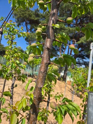 자연인님의 자유주제 · 자유게시판 작성글 사진