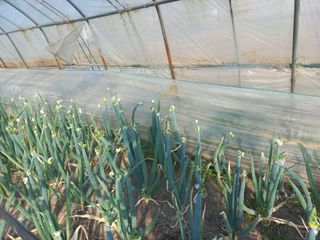 성순옥님의 자유주제 · 자유게시판 작성글 사진