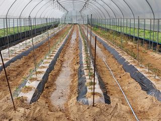 시골살이님의 자유주제 · 자유게시판 작성글 사진