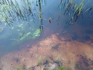 전영일님의 자유주제 · 자유게시판 작성글 사진