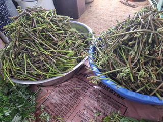 가수지현아님의 자유주제 · 자유게시판 작성글 사진