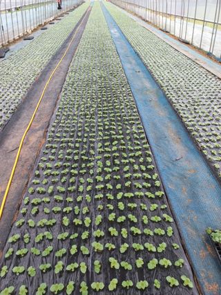 농민님의 자유주제 · 자유게시판 작성글 사진