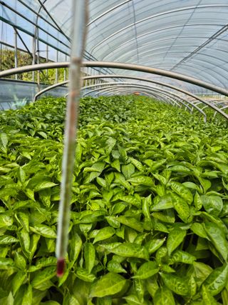 김영진(전남영광)님의 자유주제 · 자유게시판 작성글 사진