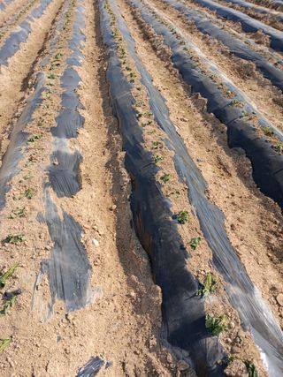 리포님의 자유주제 · 자유게시판 작성글 사진