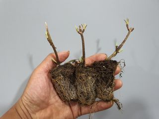 이경철님의 자유주제 · 자유게시판 작성글 사진