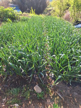 가수지현아님의 자유주제 · 자유게시판 작성글 사진