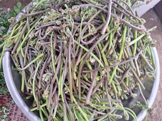 가수지현아님의 자유주제 · 자유게시판 작성글 사진