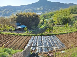 가수지현아님의 자유주제 · 자유게시판 작성글 사진