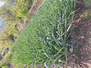 가수지현아님의 자유주제 · 자유게시판 작성글 사진