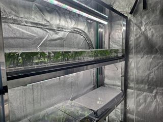 김영일님의 자유주제 · 자유게시판 작성글 사진