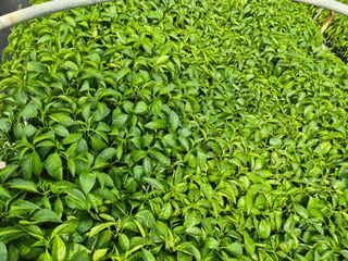 김영진(전남영광)님의 자유주제 · 자유게시판 작성글 사진