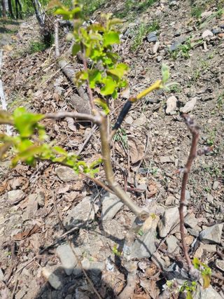 김용대님의 자유주제 · 자유게시판 작성글 사진