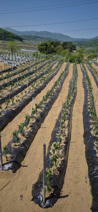 이상윤님의 자유주제 · 자유게시판 작성글 사진