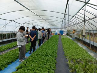 농민님의 자유주제 · 자유게시판 작성글 사진