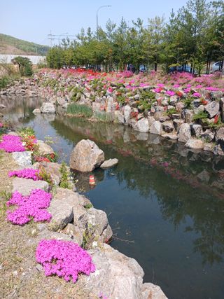 상원(尙沅)님의 자유주제 · 사진전 작성글 사진