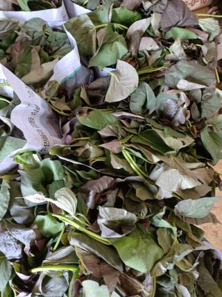 리포님의 자유주제 · 자유게시판 작성글 사진