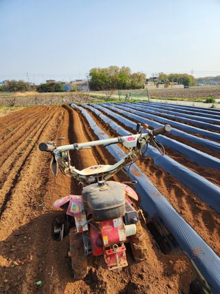 청송농장16987님의 자유주제 · 자유게시판 작성글 사진