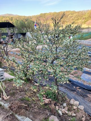 상원(尙沅)님의 자유주제 · 사진전 작성글 사진