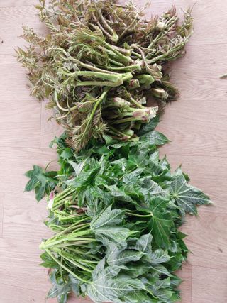 아산이쁘니95960님의 작성글 사진