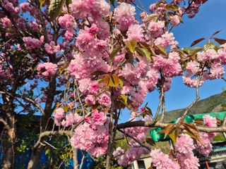 오종성님의 자유주제 · 사진전 작성글 사진