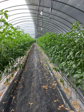 농민님의 자유주제 · 자유게시판 작성글 사진