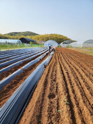 청송농장16987님의 자유주제 · 자유게시판 작성글 사진