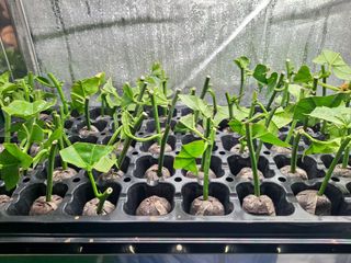 김영일님의 자유주제 · 자유게시판 작성글 사진