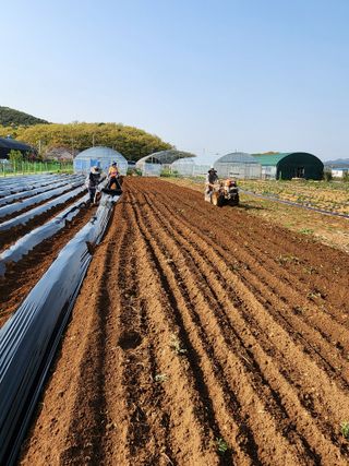 청송농장16987님의 자유주제 · 자유게시판 작성글 사진