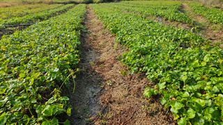 조병대님의 작성글 사진