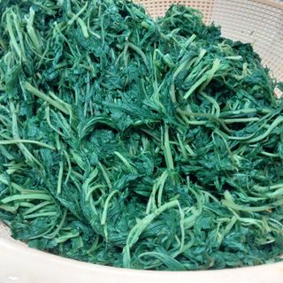 아로대추님의 작성글 사진