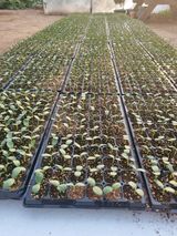 팜모닝 자유주제·자유게시판 게시글 이미지