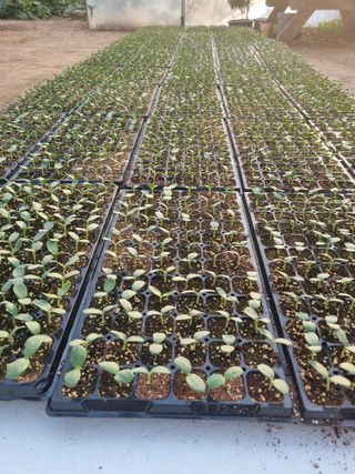 머슴님의 자유주제 · 자유게시판 작성글 사진