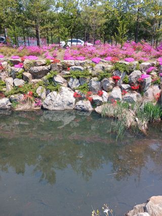 상원(尙沅)님의 자유주제 · 사진전 작성글 사진