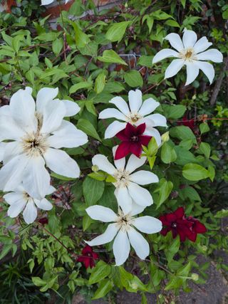 기중권님의 자유주제 · 자유게시판 작성글 사진