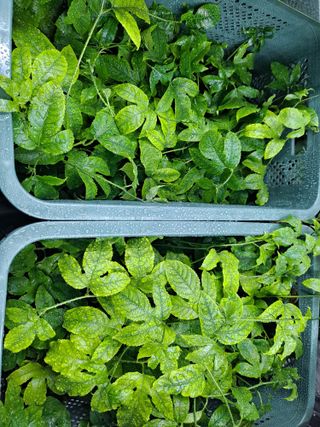 김영일님의 자유주제 · 자유게시판 작성글 사진