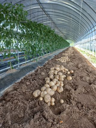 농민님의 자유주제 · 자유게시판 작성글 사진