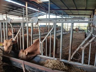 알 수 없음님의 자유주제 · 자유게시판 작성글 사진