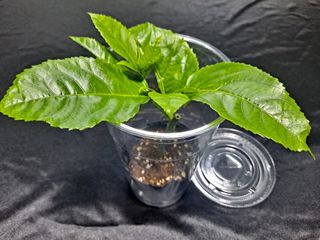 김영일님의 자유주제 · 자유게시판 작성글 사진