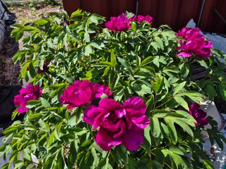 오종성님의 자유주제 · 사진전 작성글 사진