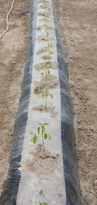 권병관님의 자유주제 · 자유게시판 작성글 사진